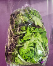 Load image into Gallery viewer, Sara's Choice