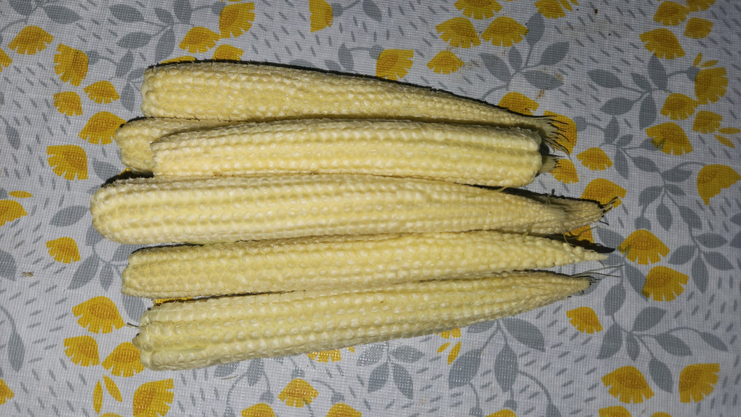 Baby Corn / Stir-fry Corn