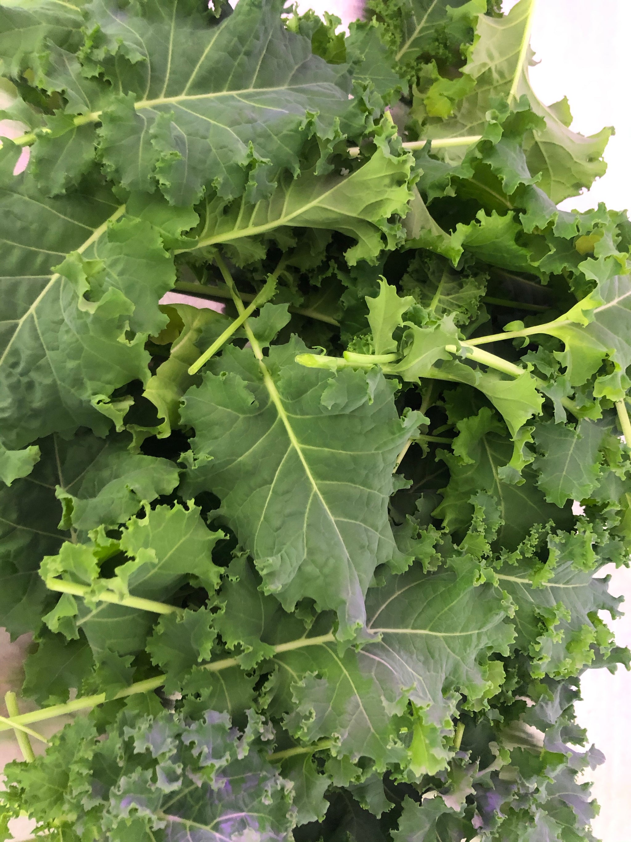 Leafy Greens and Lettuce – Market 114